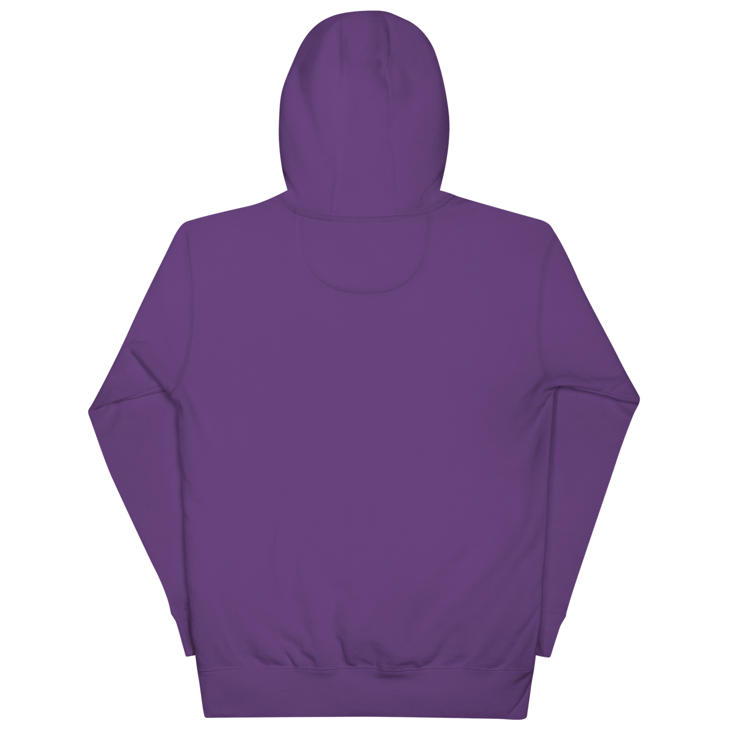 CAMARO SILHOUETTE AND SCRIPT UNISEX HOODIE