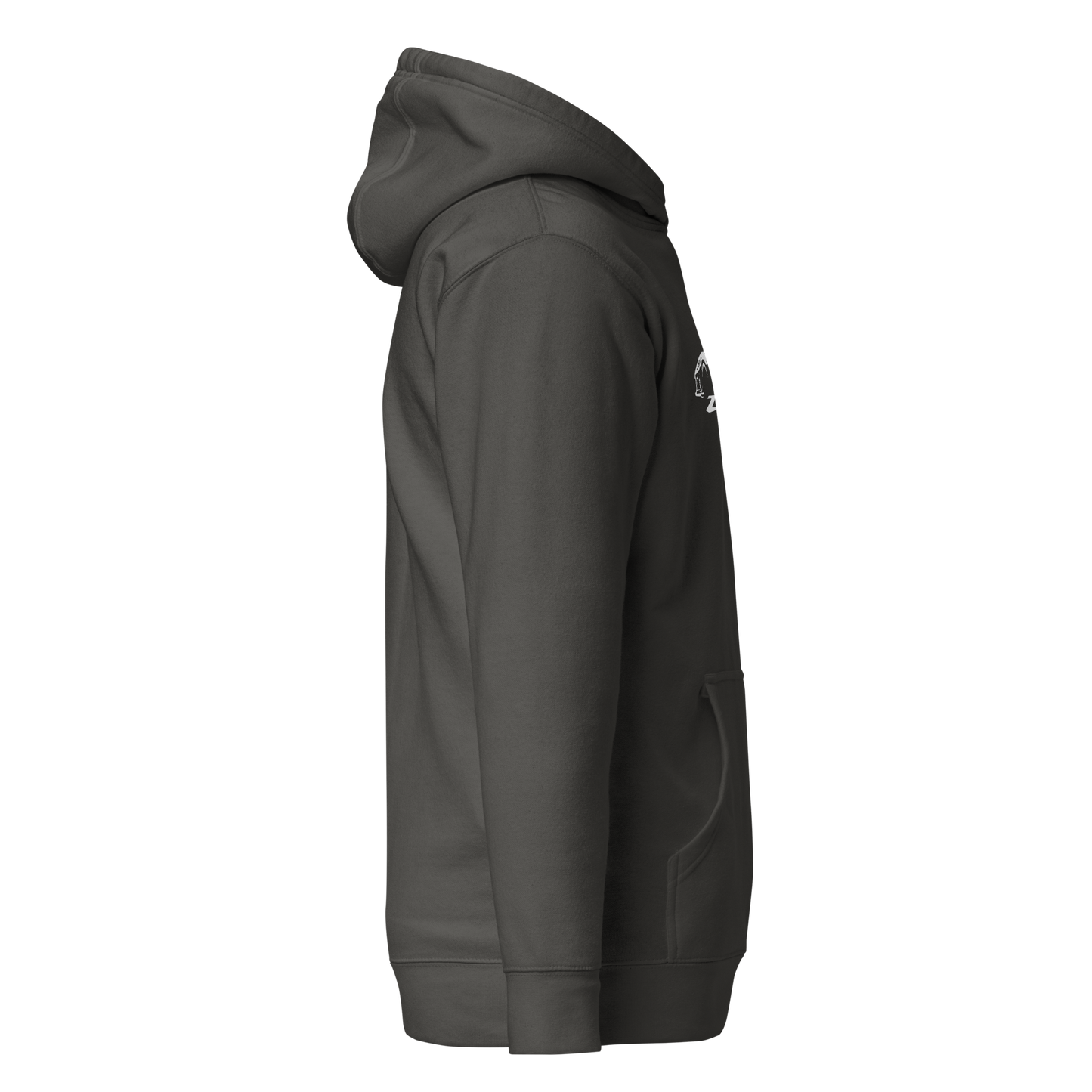 C8 CORVETTE Z06 UNISEX HOODIE